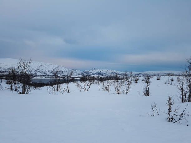istock Norwegian Lapland winter landscape 1198823272