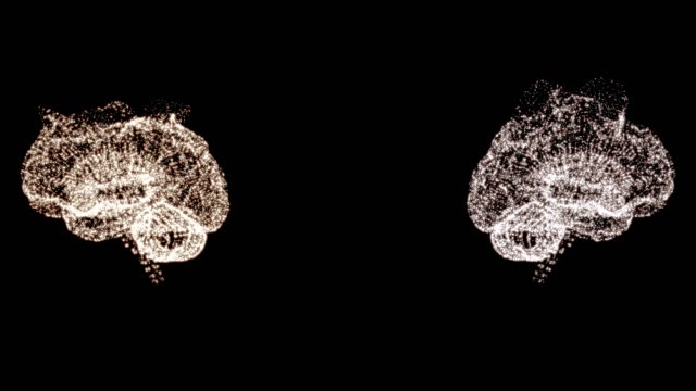 4k video of two abstract brain models under examination, rotating in space.