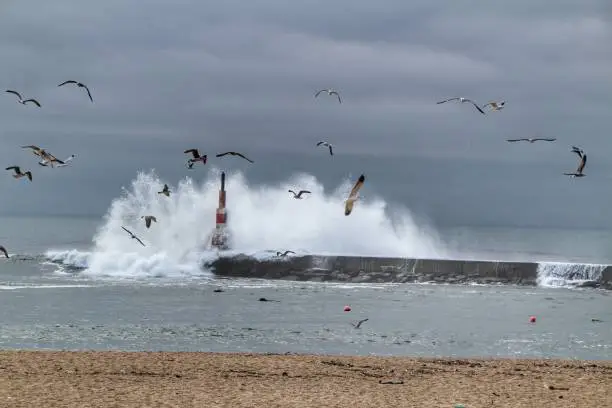 Photo of Giant waves breaking on the breakwater and the lighthouse