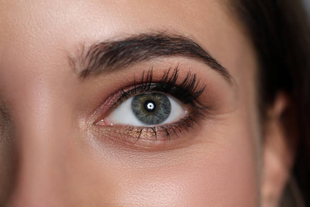 Amazing female green and grey coloured eye Amazing female green and grey coloured eye with tiny bit of makeup around close-up visual sense stock pictures, royalty-free photos & images