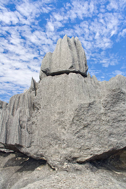 istock Tsingy of Bemaraha 119882940