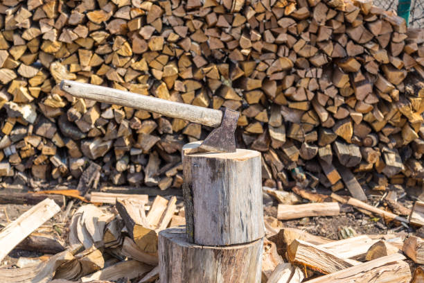 topór w pniu drzewa przed stertą posiekanych kłód pożarowych. - wood cutting chopping fireplace zdjęcia i obrazy z banku zdjęć