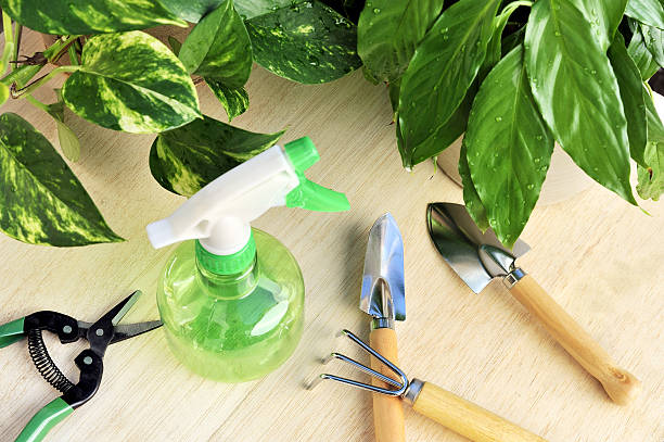 ferramentas de jardinagem e houseplants-ainda vida - houseplant spray bottle spraying studio shot - fotografias e filmes do acervo