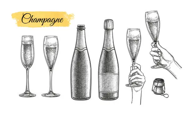 Vector illustration of Clinking glasses and champagne bottles.