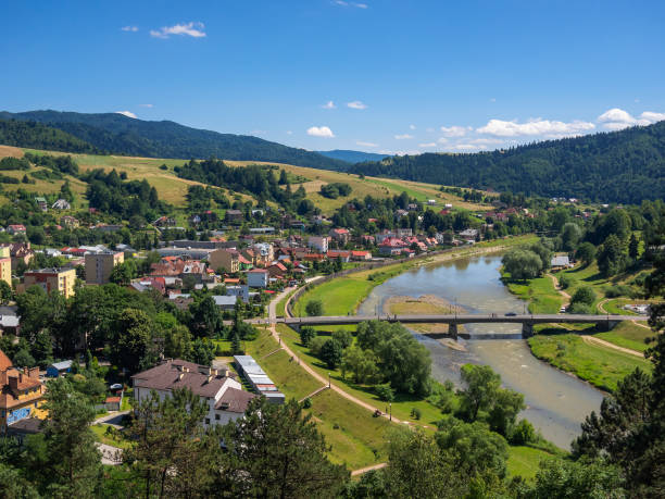 ポーランド南部の夏にスパタウンムジナのポプラド川に架かる橋。ザムチスコ山の城跡からの眺め。 - lesser poland ストックフォトと画像