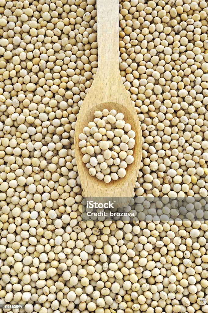 Kochlöffel und getrocknete soybeans - Lizenzfrei Ausgedörrt Stock-Foto