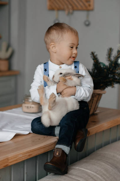 маленький мальчик и любимый питомец. кролик белый. синдром дауна. - rabbit child pets little boys стоковые фото и изображения