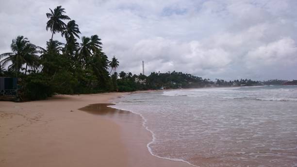 palme, sabbia sulla spiaggia mirissa. onde, atmosfera tropicale. - atmosphare foto e immagini stock