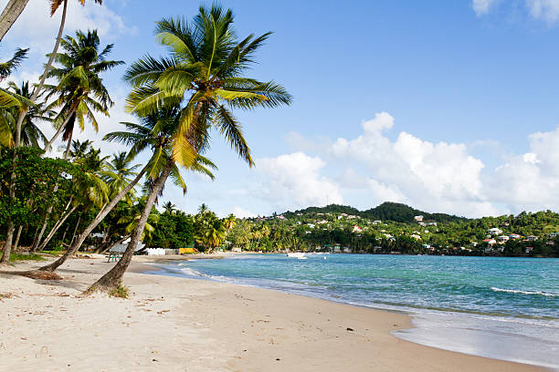 istock Labiorie Beach, Saint Lucia 119883872
