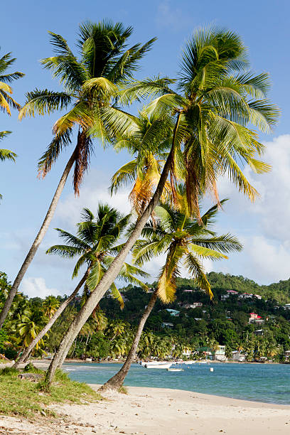 istock Labiorie Beach, Saint Lucia 119883941