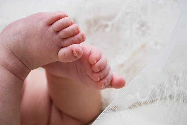 istock legs of child 119884005