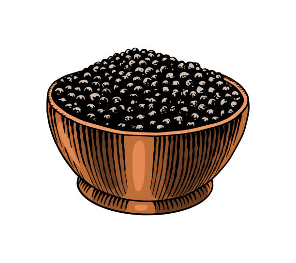 ilustrações de stock, clip art, desenhos animados e ícones de bowl of black pepper in vintage style. mortar and pestle. dried seeds, a bunch of spices. allspice or peppercorn. herbal seasoning. engraved hand drawn vector sketch for background - mortar and pestle condiment isolated food