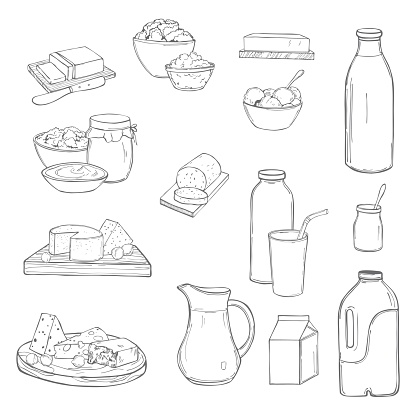 Milk food. Butter, cheese, sour cream, yogurt and cream on a white background. Vector sketch illustration.