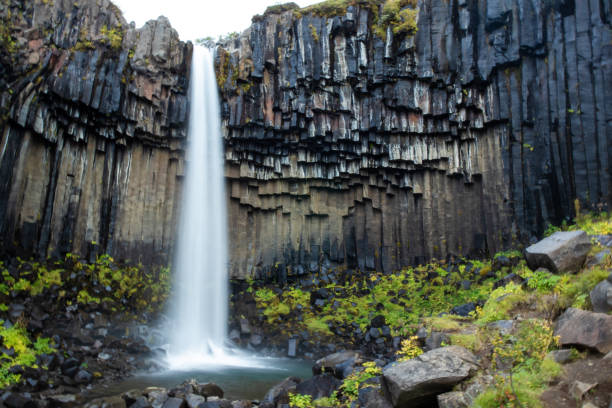 istock Svartifoss Watefall in Iceland 1198842597