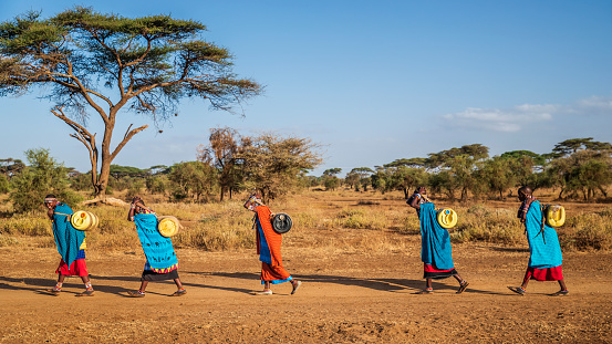 Mujeres africanas de la tribu maasai que llevan agua, Kenia, photo