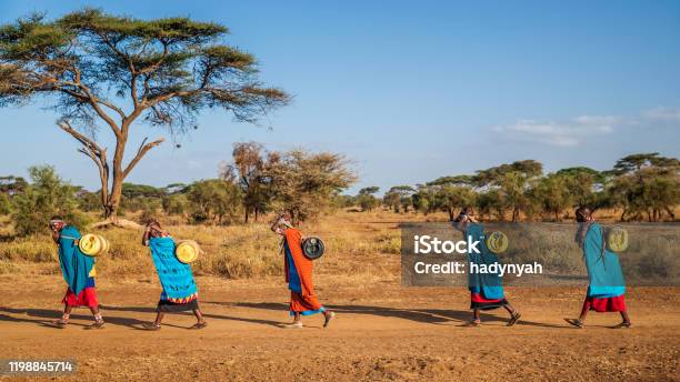 African Women From Maasai Tribe Carrying Water Kenya East Africa Stock Photo - Download Image Now