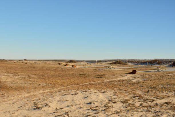 Assateague Island Campground in Winter A campground in Maryland’s Assateague State Park on a bright clear day in winter with the picnic tables and camping locations vacant for the season eastern shore sand sand dune beach stock pictures, royalty-free photos & images