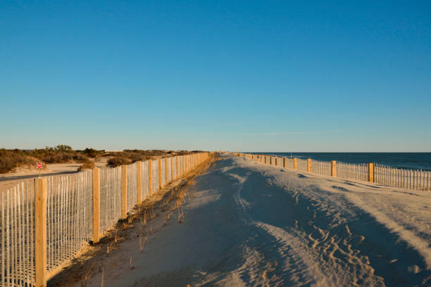 Sand Fence Perspective A  double sand fence, or sand break if you wish, placed on top of dunes being restored after repeated flooding related to global climate change provides an interesting structure eastern shore sand sand dune beach stock pictures, royalty-free photos & images