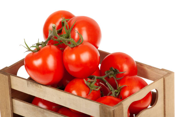istock fresh tomatoes in a wooden crate isolate on a white background 1198848002