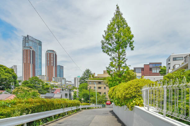 istock minato-ku tokyo japan 1198852422