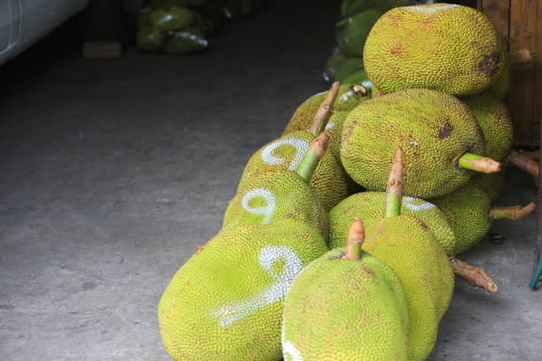 istock Jackfruit in Muang Mai Market 1198856119