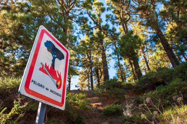 señal de advertencia para incendios forestales - fire prevention fotografías e imágenes de stock