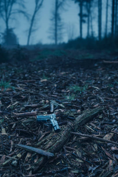 A smoking gun is lying on the floor  illuminated by window light