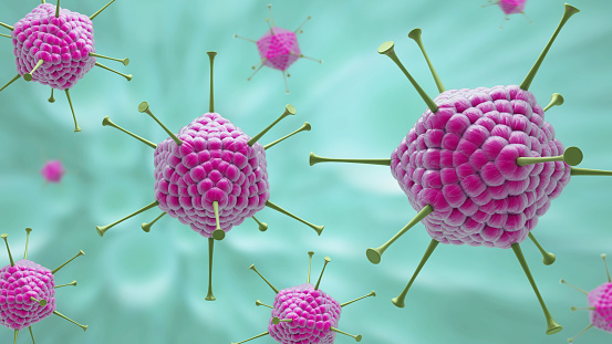 Molecular model of Adenovirus