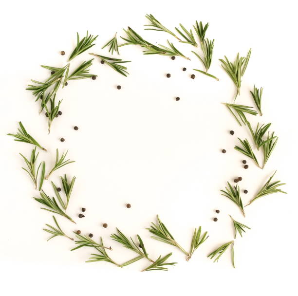 istock rosemary herb leaves wreath,  circle isolated on white background. flat lay, top view.abstract 1198857853
