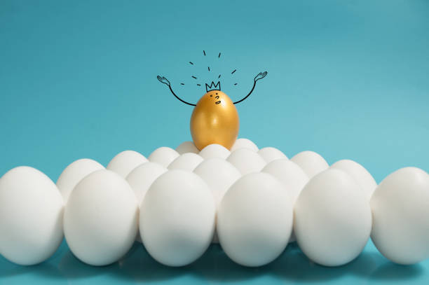 Business recruitment, talent management.