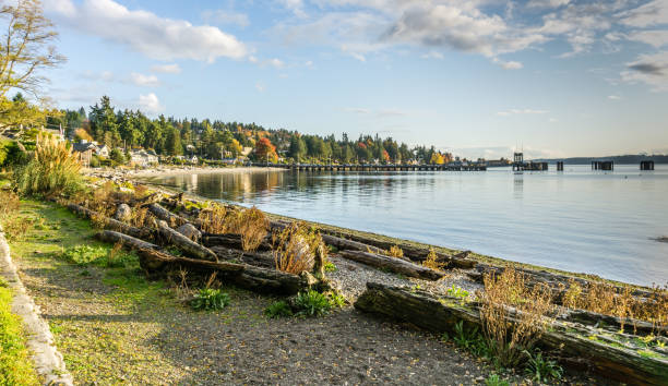 istock Shoreline Near Ferry Terminal 3 1198860033