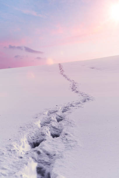 istock Footprint in deep snow 1198860103