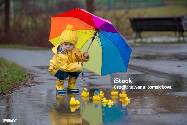 Beautiful Funny Blonde Toddler Boy With Rubber Ducks And Colorful Umbrella Jumping In Puddles And Playing In The Rain Stock Photo - Download Image Now