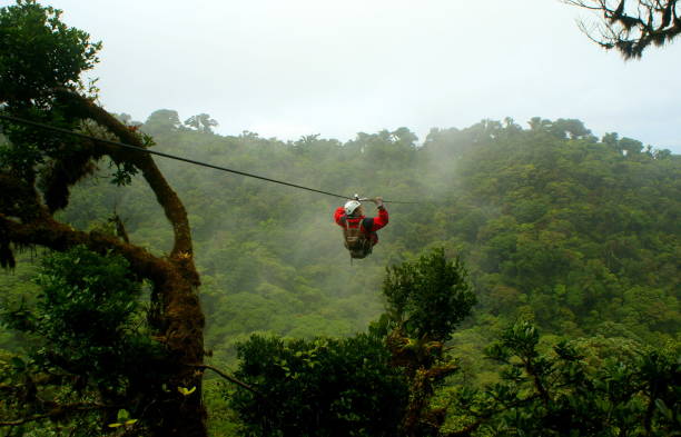 Tourist on a zip-line ride over a cloud forest conyon in Monteverde Monteverde, Costa Rica, May, 2010. Fotography of a tourist on a canopy ride in Monteverde National Park, Costa Rica. canopy tour photos stock pictures, royalty-free photos & images