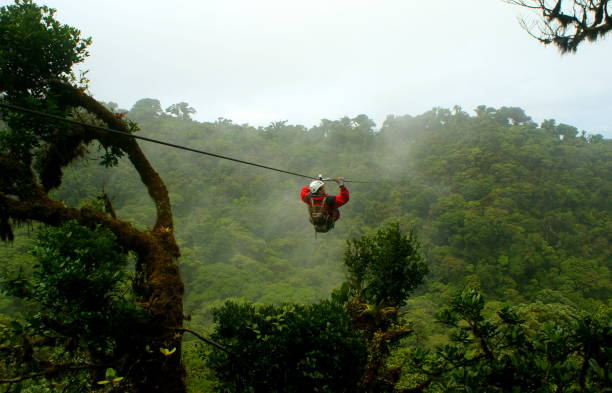 tourist on a zip-line ride over a cloud forest conyon in monteverde - monteverde cloud forest imagens e fotografias de stock