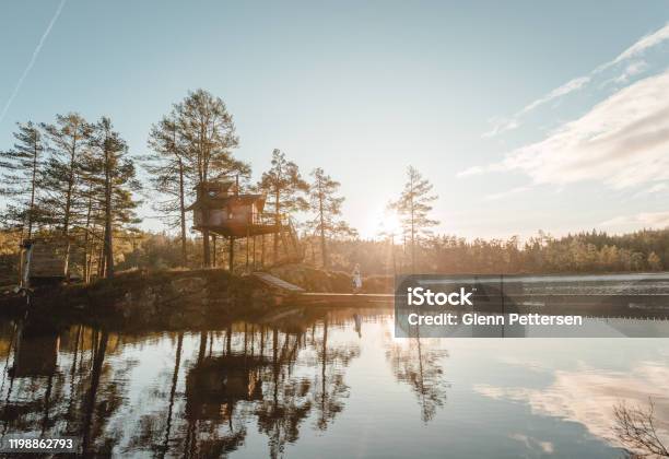 Woman Walking By Treetop Cabin In Norway Stock Photo - Download Image Now - Autumn, Log Cabin, Norway