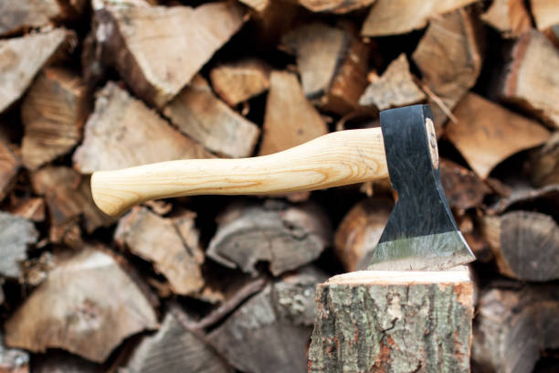 istock An ax stuck in the trunk. 1198867220