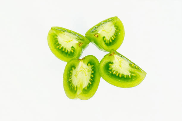 Green tomatoes ripening in a greenhouse