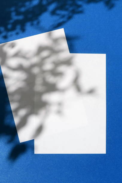 istock Empty white blank mockup with soft floral shadows on classic blue background.modern sunlight stationery mockup scene. Flat lay, top view. copy space 1198882593
