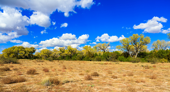 Beautiful New Mexico desert landscape in the fall.
