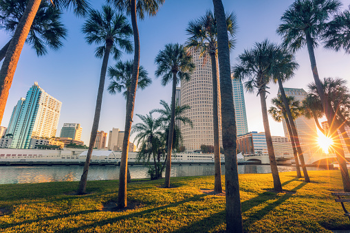Imágenes de Tampa Florida | Descarga imágenes gratuitas en Unsplash Imágenes de Tampa Florida | Descarga imágenes gratuitas en Unsplash