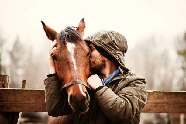 istock Young Man kissing Beautiful Horse. 1198890929