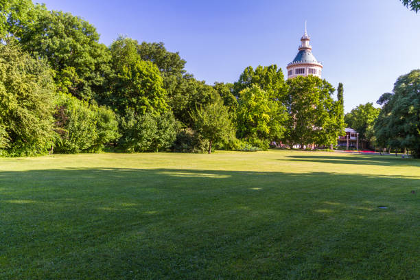 Margaret Island with Water Tower in distance in Budapest, Hungary Margaret Island with Water Tower in distance across from a green lawn, landscape margitsziget stock pictures, royalty-free photos & images