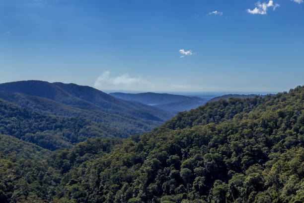 istock Bright summers day across tree covered mountains in Queensland, Australia 1198890993