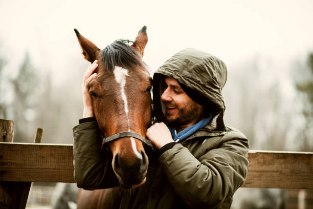 Young Man Kissing Beautiful Horse Stock Photo - Download Image Now - Horse,  Men, Love - Emotion - iStock
