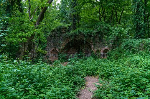 Ruin, Grove, Forest, Belgrade, Church, Istanbul