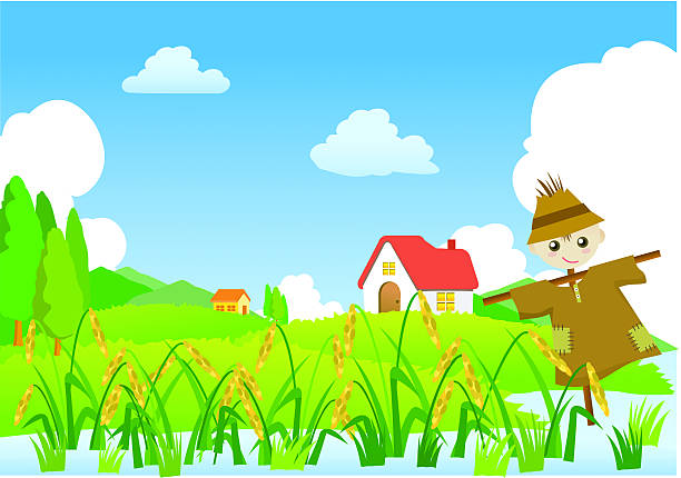 Farm Épouvantail - Illustration vectorielle