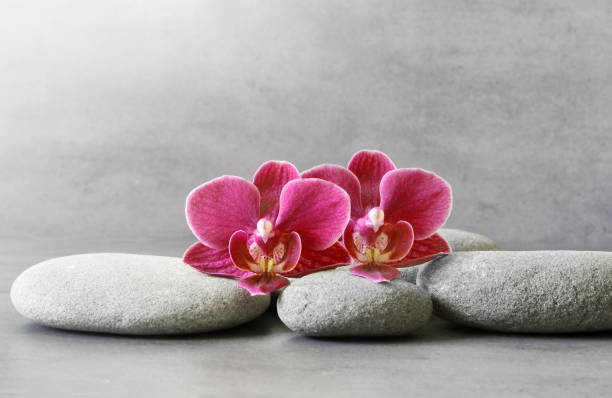 istock Spa stones and orchid flower on the grey background 1198897429
