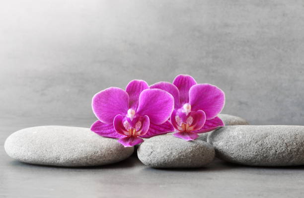 istock Spa stones and orchid flower on the grey background 1198897943