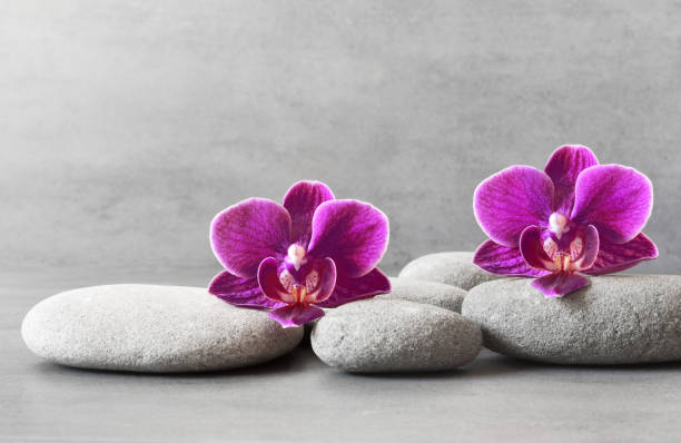 istock Spa stones and orchid flower on the grey background 1198897950